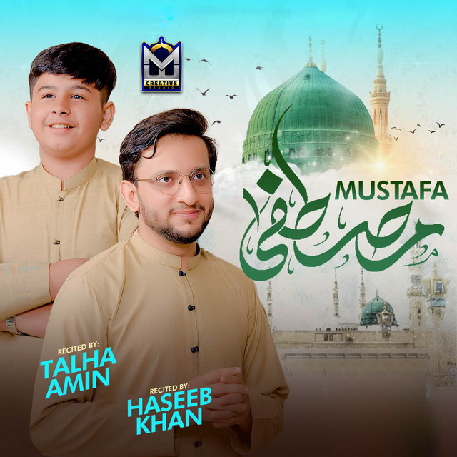 Talha Amin