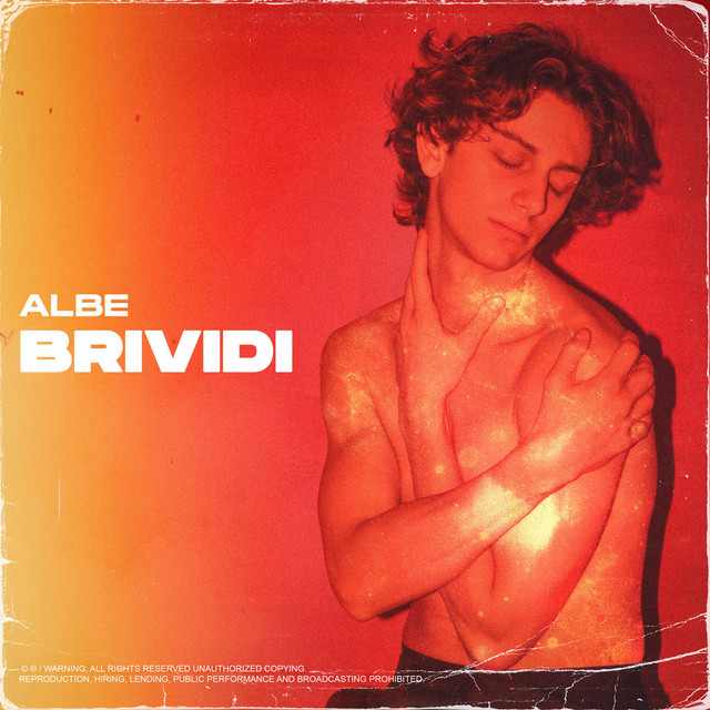 Brividi cover art
