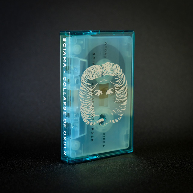 Collapse of Order cover art