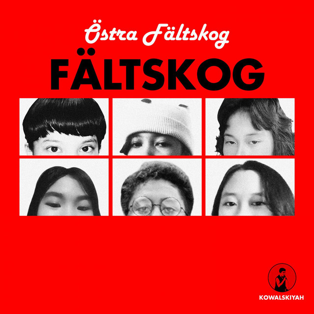 Fältskog cover art
