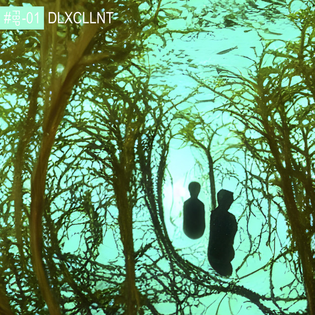 DLXCLLNT cover art