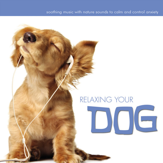Relaxing Your Dog cover art