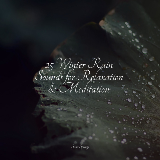 25 Winter Rain Sounds for Relaxation & Meditation - Album by Pet Care ...