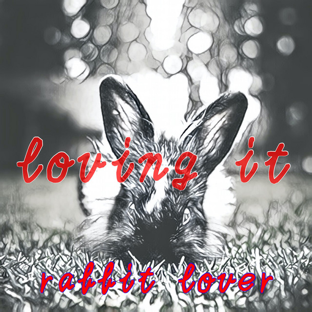 Like a rabbit Photo