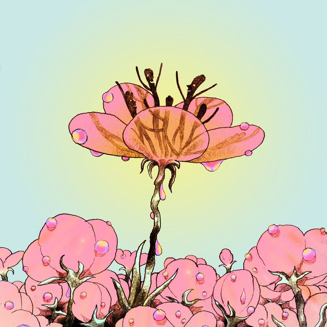 Bitter Flower cover art