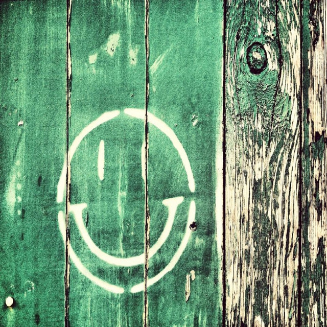 The Smile Project cover art