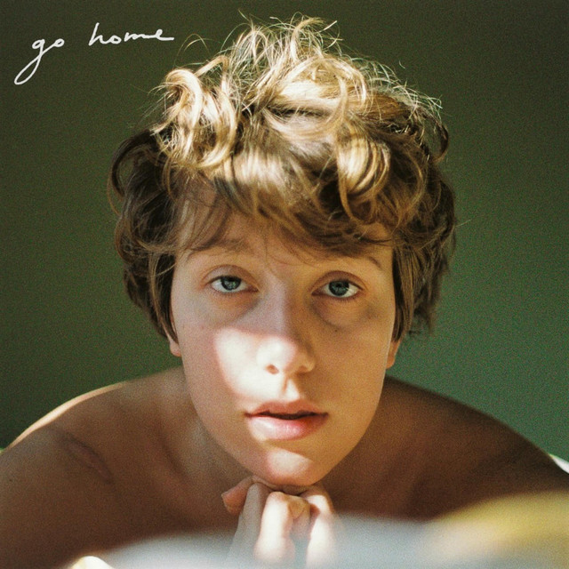 Go Home Go Home Go Home cover art