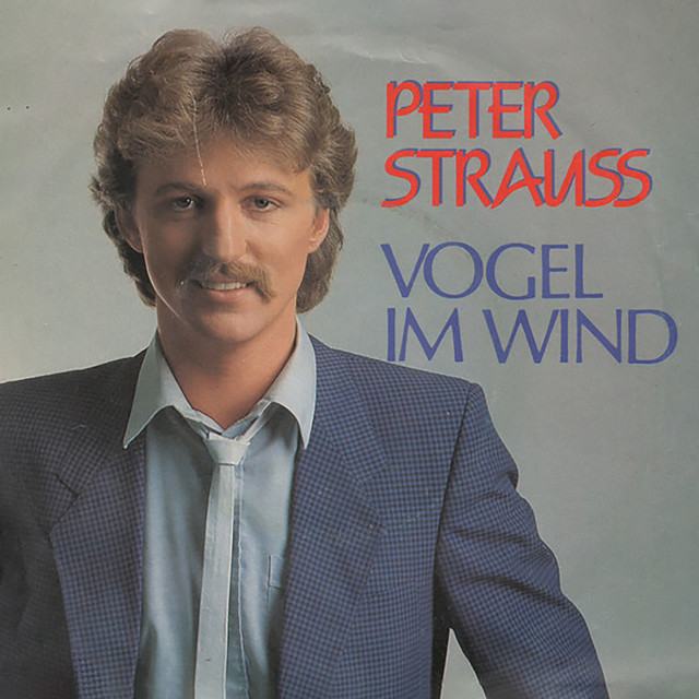 Vogel Im Wind cover