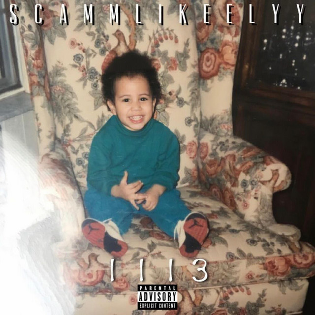 1113 cover art