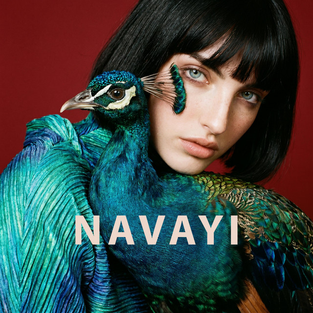 Cover of NAVAYI