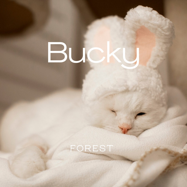 Bucky cover art
