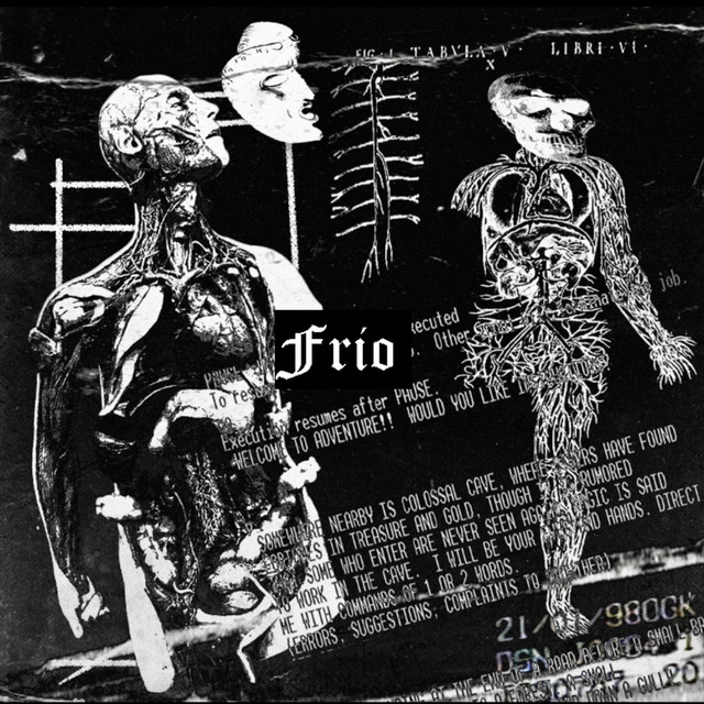 Frío cover art