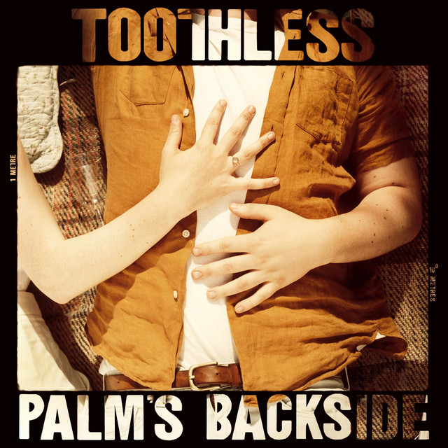 Palm's Backside cover art