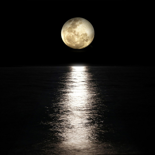 Gentle, quiet healing music to calm your mind when you can't sleep alone at night. (SE) cover art