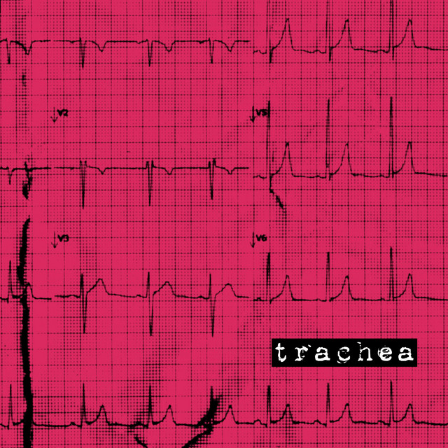 Trachea cover art