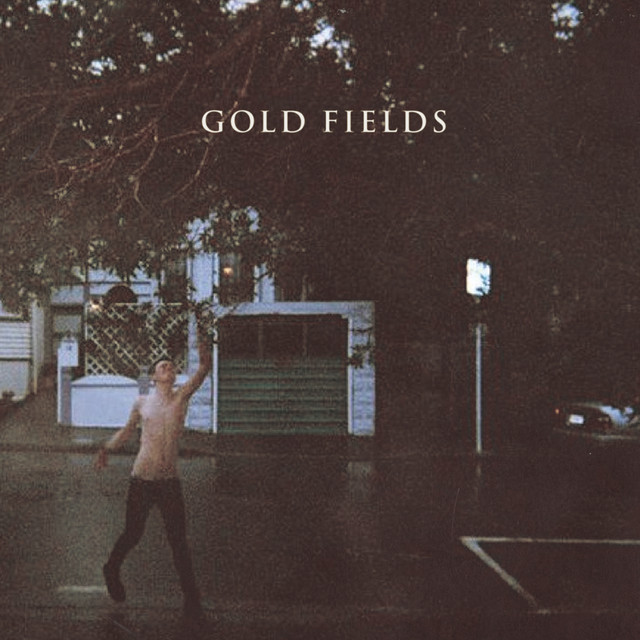 Gold Fields cover art