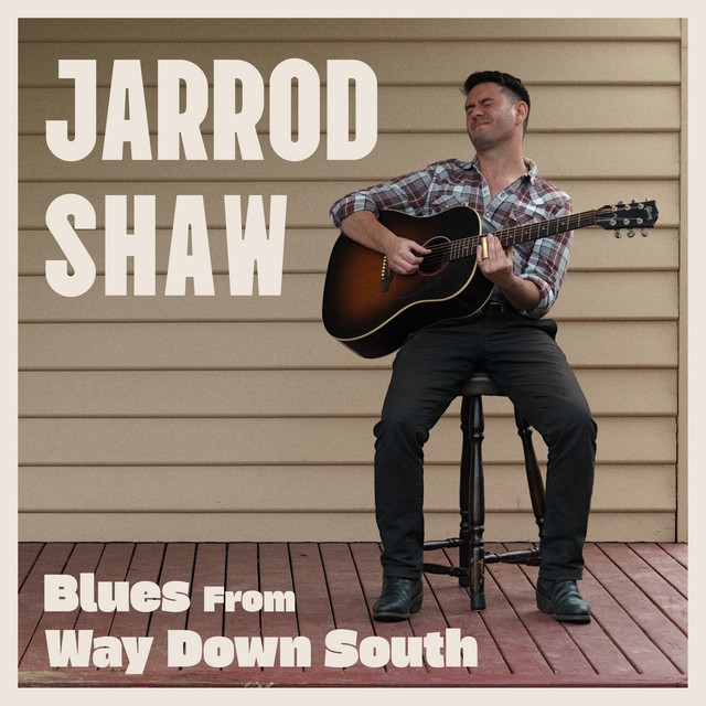 Blues From Way Down South cover
