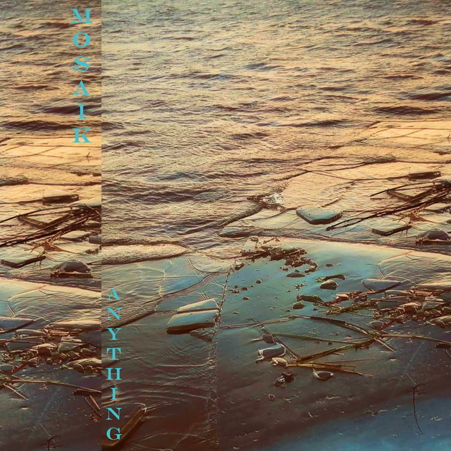 Anything cover art