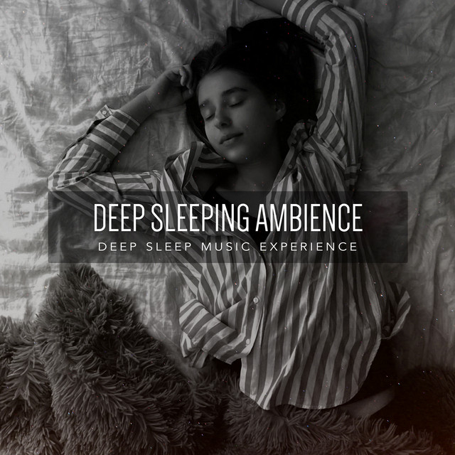 Deep Sleeping Ambience - Album by Deep Sleep Music Experience | Spotify