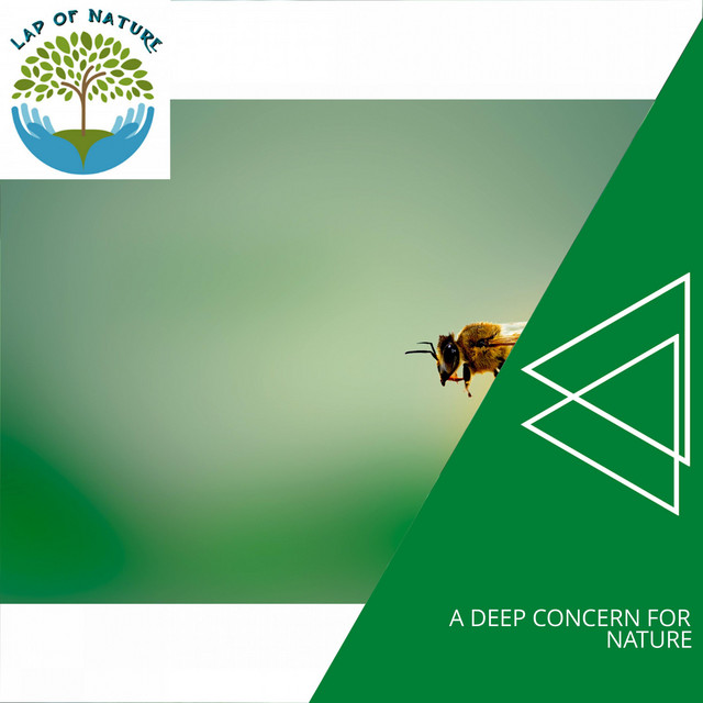 A Deep Concern for Nature cover art