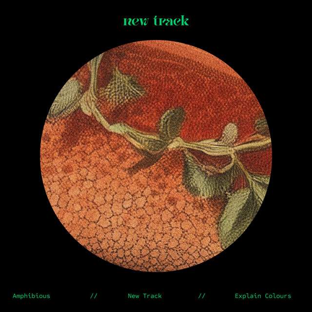 new track cover
