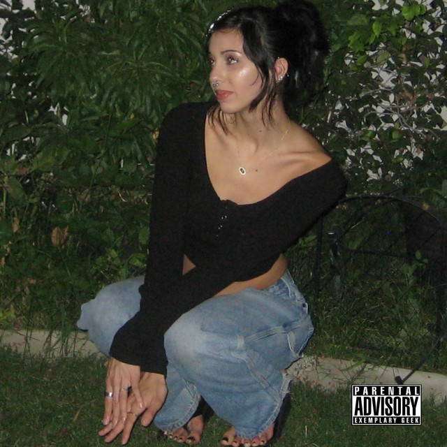VET cover art
