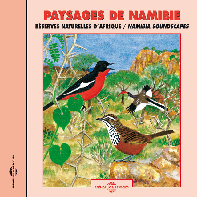 Paysages De Namibie