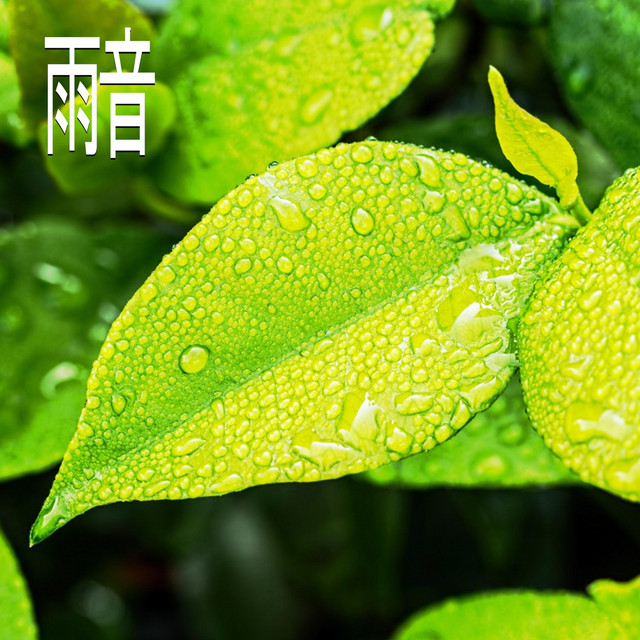 雨音 パート47 Song By 自然の音 Spotify