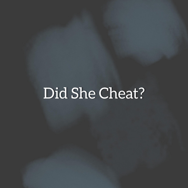 Did She Cheat? Album by Just A Guy Spotify