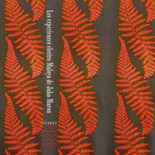 The Electro Maloya Experiments of Jako Maron cover art