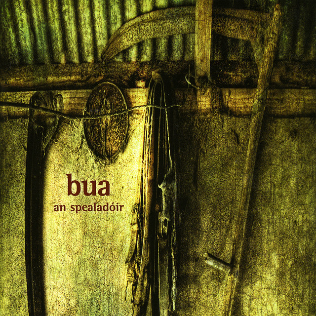 An Spealadóir cover art