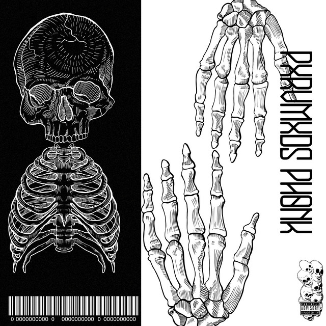 Cover art: Raw Therapy Vol.1 — PXRVMXDS PHONK