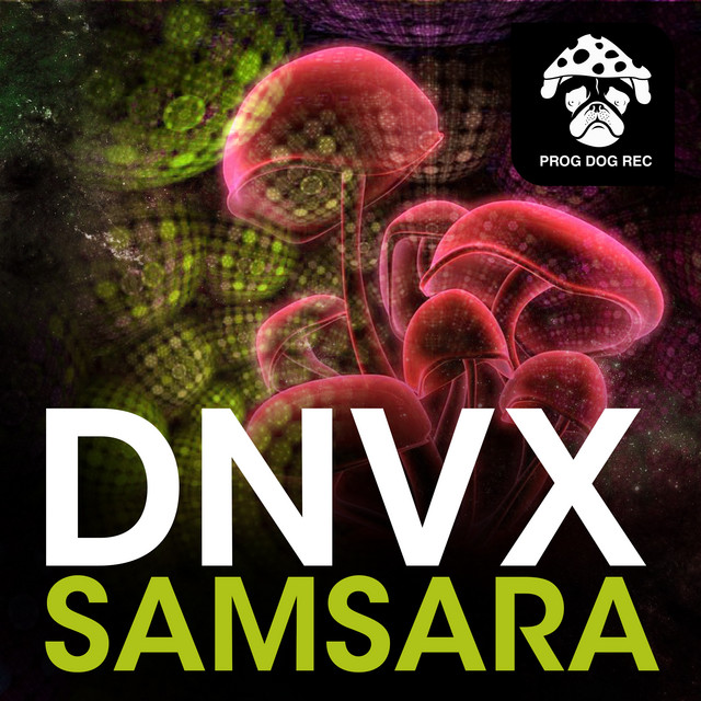 Indra cover art