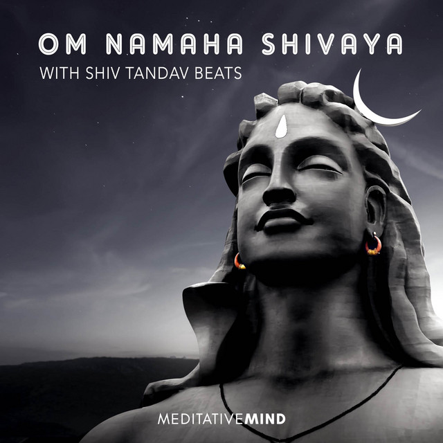 Om Namaha Shivaya with Shiv Tandav Beats cover art