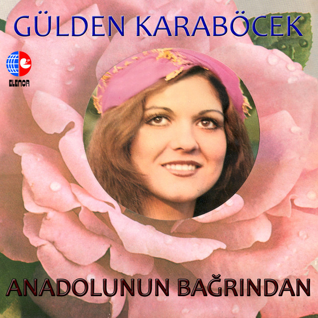 Anadolunun Bağrından cover art