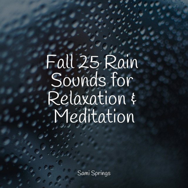Fall 25 Rain Sounds for Relaxation & Meditation - Album by Spa & Spa ...