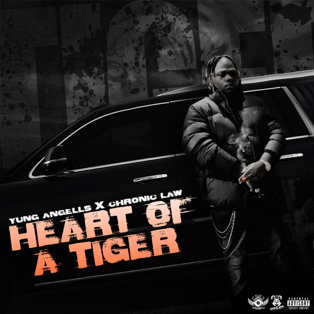 Heart Of A Tiger