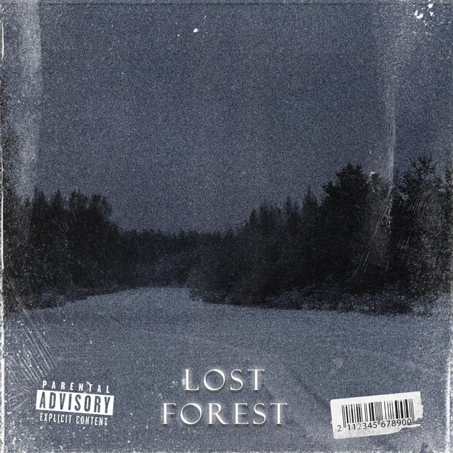 Обкладинка: LOST FOREST — DRIFT WISH