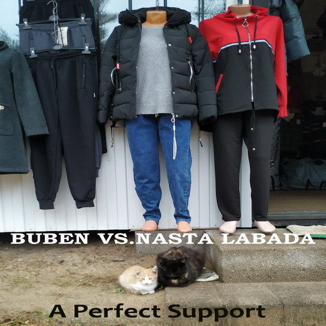 A Perfect Support cover art