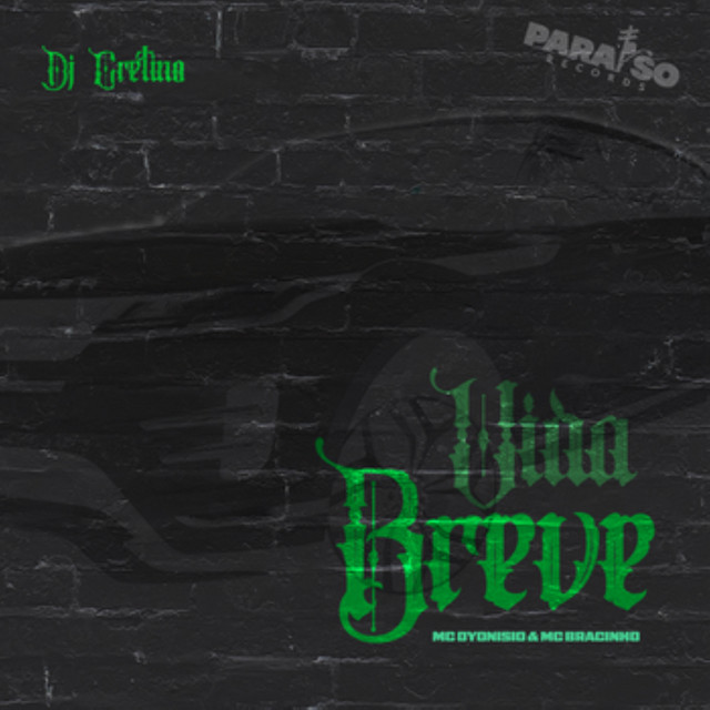 Vida Breve