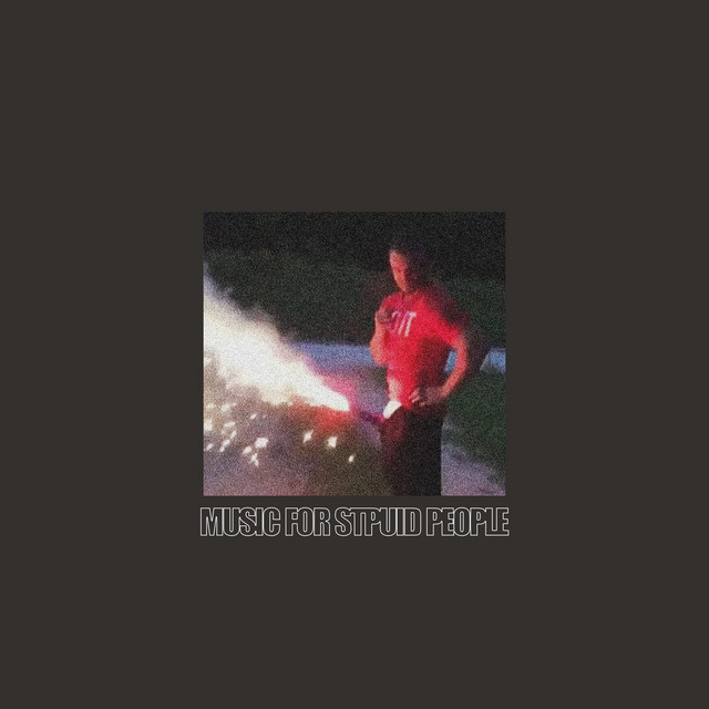music for stpuid people album image