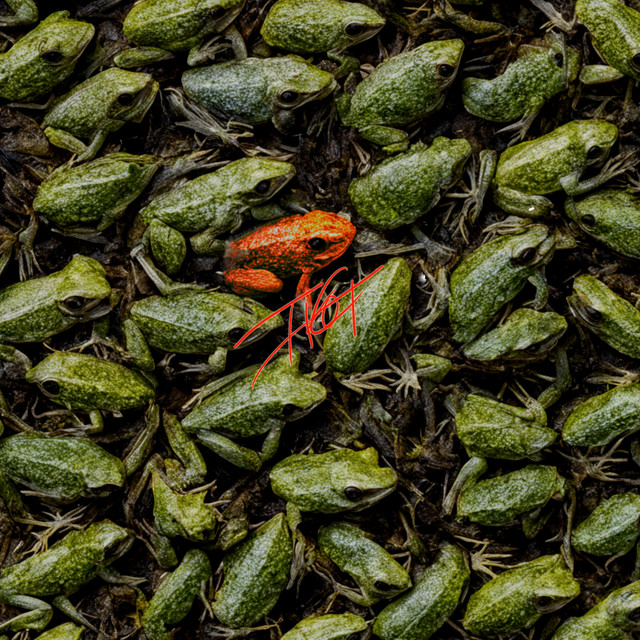 Hot Frog cover art