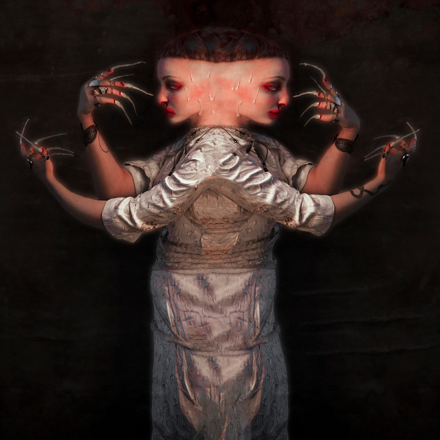 Fin cover art