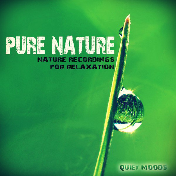 Quiet Nature Moods