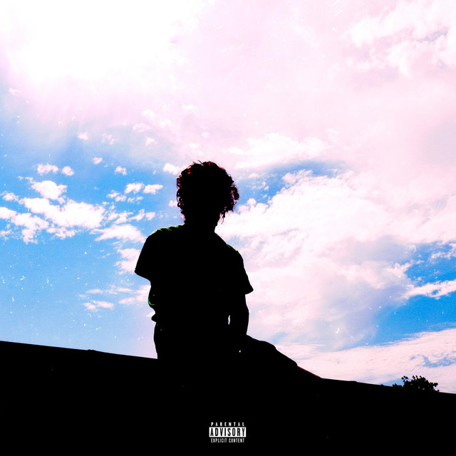 LEMON LIME LIFE cover art