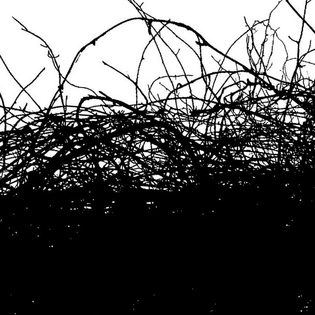 The Cantor Dust (Remixes) cover