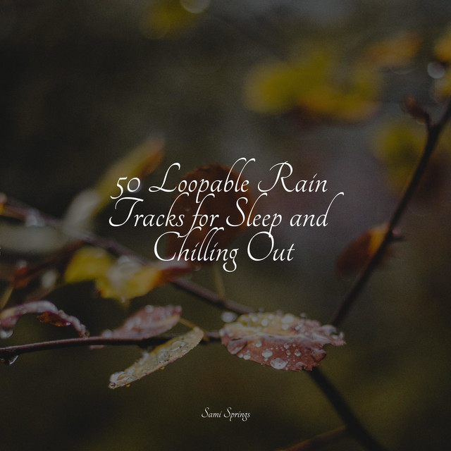 50 Ambient Rain Tracks - Album by Soothing Baby Music | Spotify