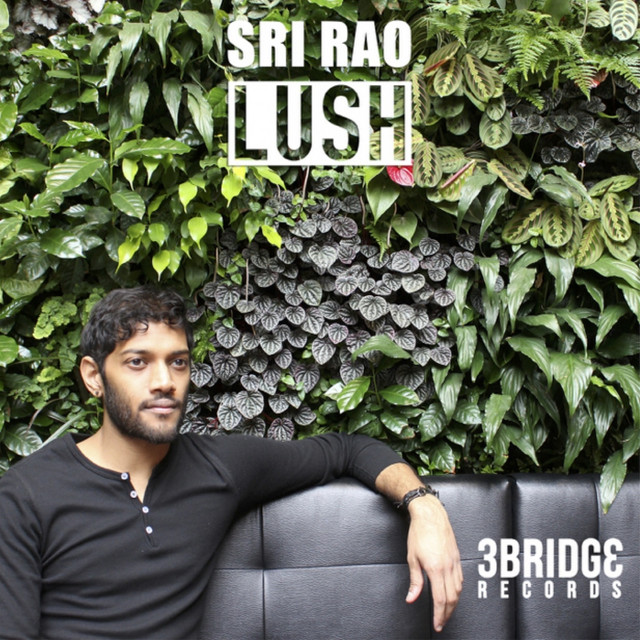Lush - Single by Sri Rao | Spotify