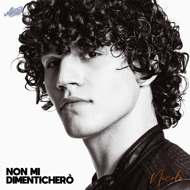 Non Mi Dimenticherò cover art