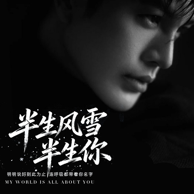 杨凯盛 – 半生风雪半生你 (伴奏)